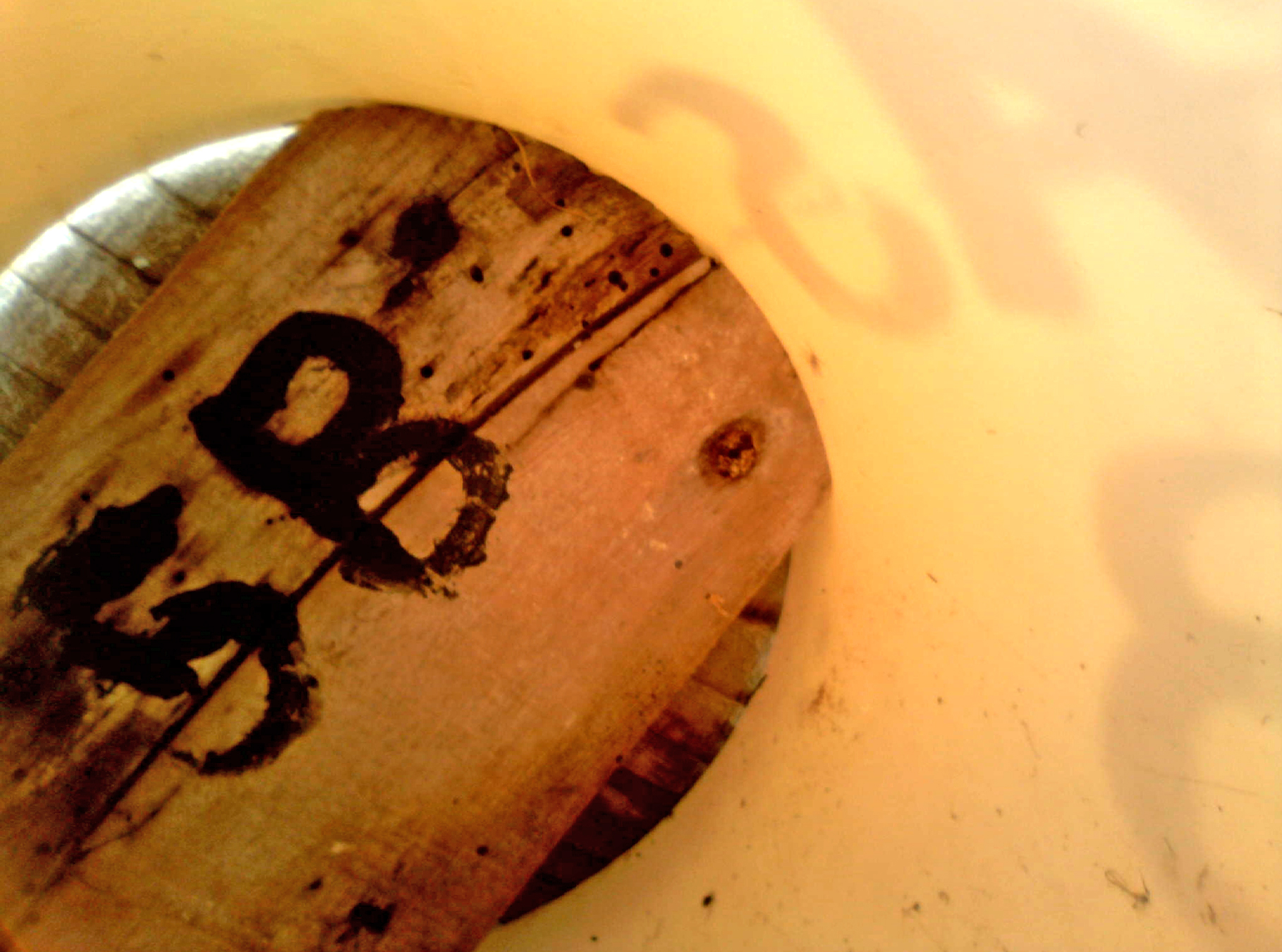 OPAS 5B